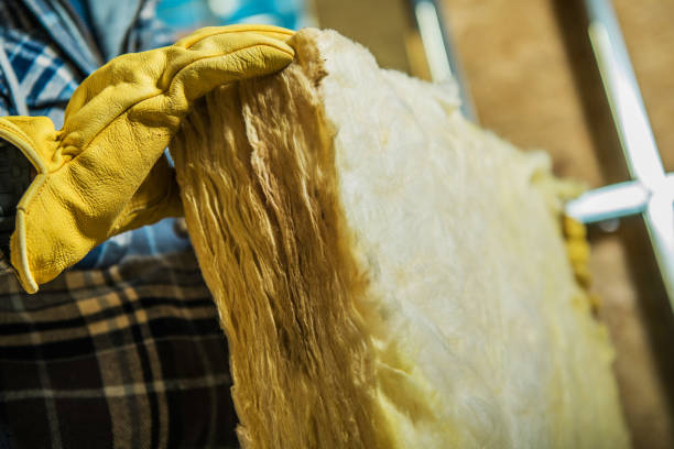 Best Residential Insulation in Camden, AR