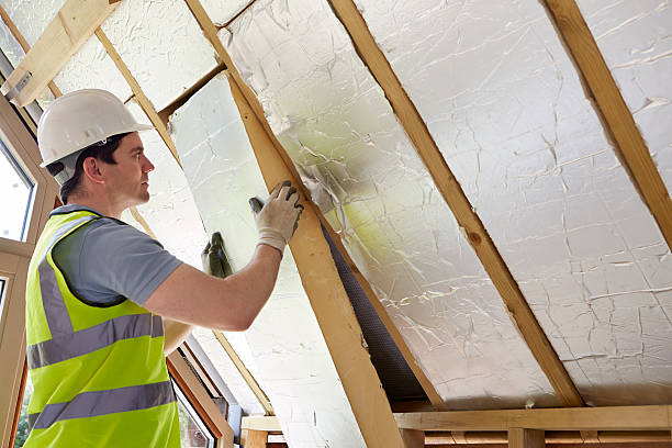 Best Insulation Maintenance and Repair in Camden, AR